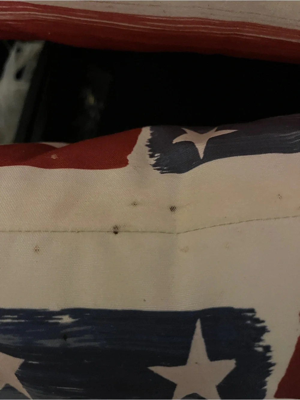Pottery Barn Set of 2 American Flag Lumbar Pillows 24x14 Discontinued Patriotic
